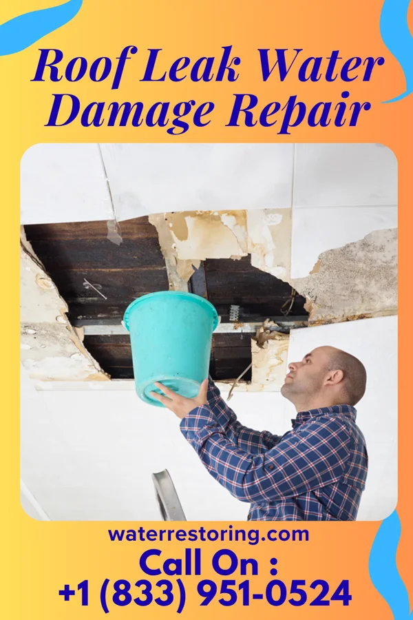 Roof Leak Water Damage Repair in Brookmont, MD