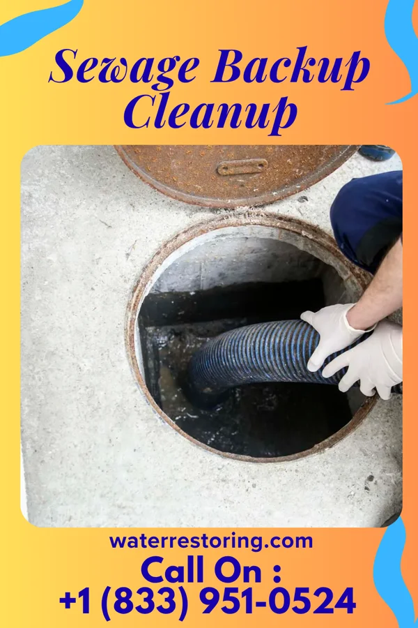 Sewage Backup Cleanup in Brookmont, MD
