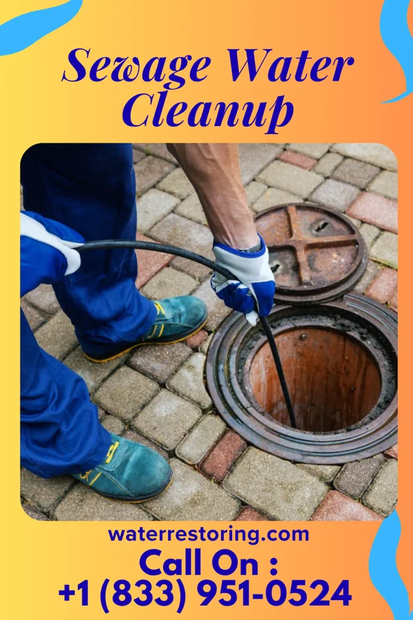Sewage Water Cleanup in Brookmont, MD