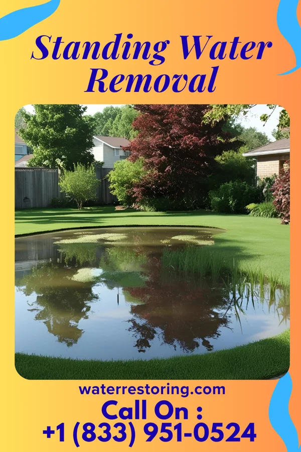 Standing Water Removal in Brookmont, MD
